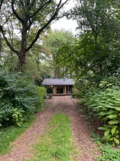 huisje in het bos - Zuidlaren - 5