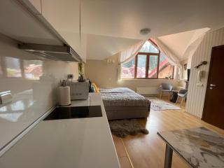 The Castle Mountain Apartments - Pamporovo - 2
