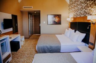 Elgarden Hotel & Spa - Masukiye - 8