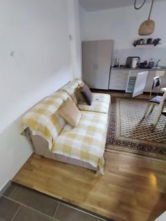 Apartmani Jelenača prizemlje - Trnovo - 3