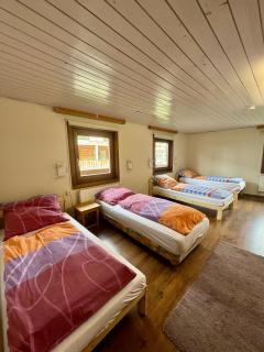 SKILL Mountain Lodge - Ski und Bike Hostel im Sommer mit JOKER CARD - Saalbach-Hinterglemm - 9