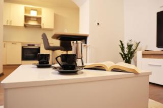 Apartman Neo - Tinjan - 8