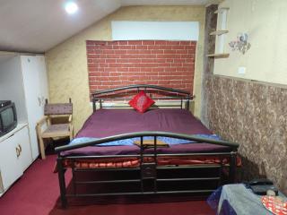 Shamus Javed Homestay - Srinagar - 5