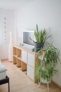 BUCHLINDENWEG - Zimmer & Ferienwohnung - Breitscheid - 6