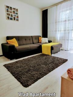Vlad Apartament Astra - 9