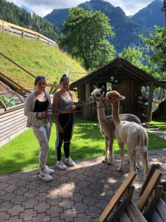 Oberstockerhof - Sankt Johann im Pongau - 4