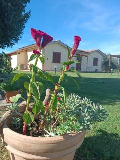 Agriturismo Le Villette di Cate - Alberese - 8