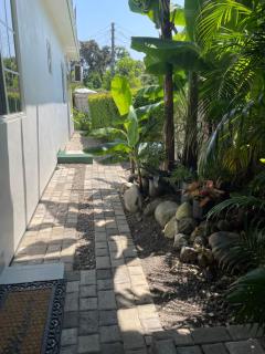 Centrally Located Room - 5 - Port Antonio - 8