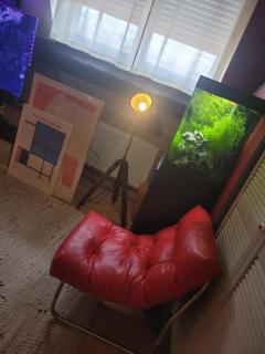 Le Cocon Atypique - 3