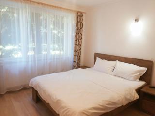 Gold Apartments - Baia Mare - 3
