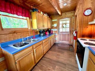 Bearadise Found cabin - 1