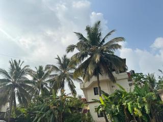 KENSON'S INN - Mangalore - 0