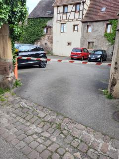 Appartement atypique perle rare - Soultz-Haut-Rhin - 5