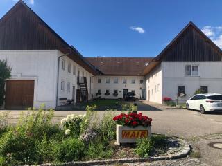 Babsi Appartments - leben am Land - 0