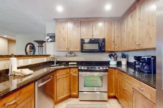 250 Ski Hill Rd # 16 - Breckenridge - 3
