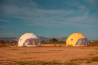The Wine Dome - Willcox - 5