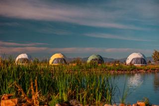 The Hive - Willcox - 4