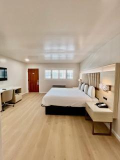 Nob Hill Motor Inn -Newly Updated Rooms! - San Francisco - 0