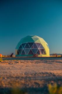 The Beer Dome - Willcox - 0