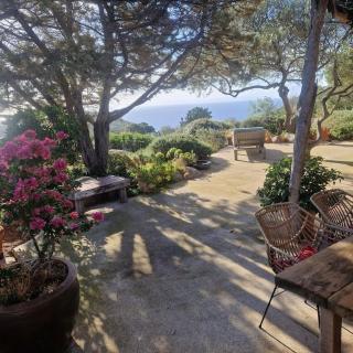 Tizzano, villa vue mer avec piscine - 2