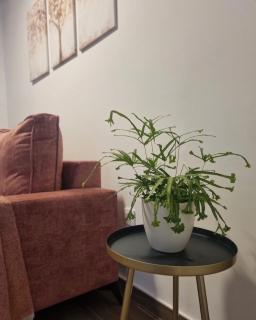 Apartamentos La Vera de Gredos - Villanueva de la Vera - 1