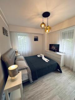 SofiApartment - Oradea - 6