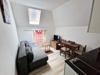Apartmani Andjelovic - Soko Banja - 8