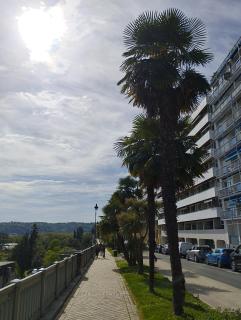 CHAMBRETTE boulevard des Pyrénées Hypercentre 10m carré WC sur le palier, porte40 - Pau - 3