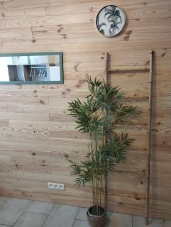 CHAMBRETTE boulevard des Pyrénées Hypercentre 10m carré WC sur le palier, porte40 - Pau - 5