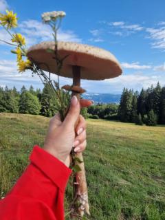 Chata 2 na Poľane - Hriňová - 3