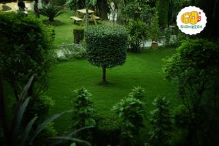 Green Hills Cottage Rishikesh - Rishikesh - 3
