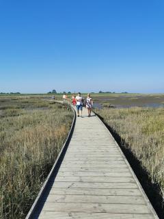 AAR Nordsee Appartement - 3