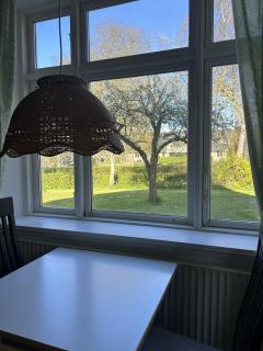 Bøgebjerggårds Gårdbutik - 7