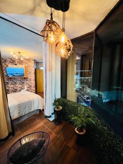 Habitación Diamante - Orizaba - 5