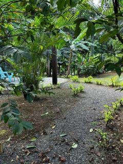 Casa Serena La Fortuna - Fortuna - 4