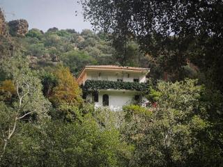 La casa del puente tropical - Vélez de Benaudalla - 7