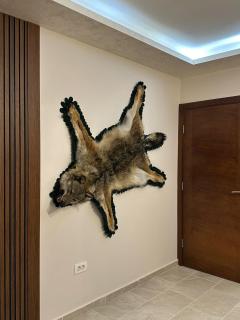 Lux Apartman Jovana - Žabljak - 9