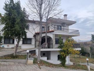 Villa in Trilofos-close to the beach - 0