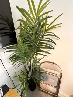 Lovely self contained studio now available - Londra - 7