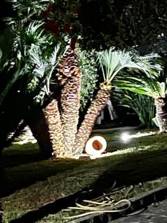 VILLA ELI - Agropoli - 5
