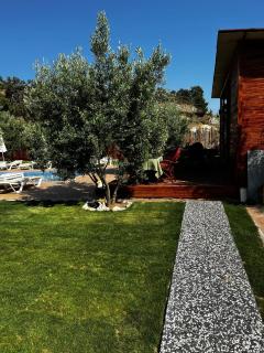 Obelix Bungalows - 7