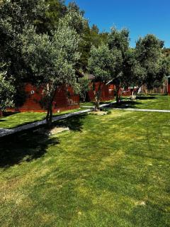 Obelix Bungalows - Fethiye - 6