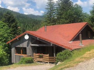 Chalet confortable, proche des pistes de ski, avec jardin, terrasses couvertes et Wi-Fi à La Bresse - FR-1-589-86 - La Bresse - 0