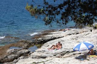 Apartments by the sea Murter - 22397 - Murter - 5