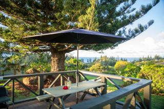 Cascade Garden Apartments - Burnt Pine - 4