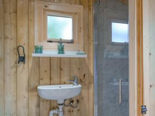 The Cygnet At The Swan Inn - Craven Arms - 5