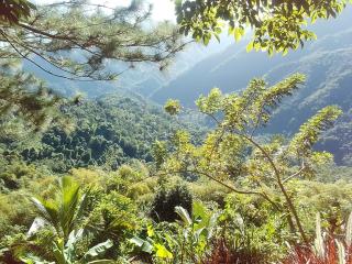 Ridge View Cottage Blue Mountain Wilderness Retreat - Port Antonio - 2