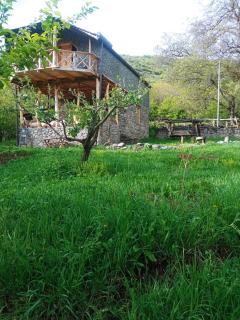 Horse Home - 5