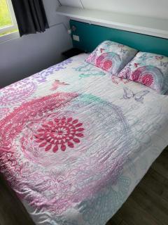 La Vie En Rose - 6