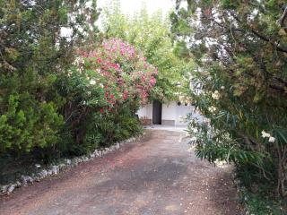 Gîte 6 personnes Aubenas - Saint-Didier-sous-Aubenas - 8